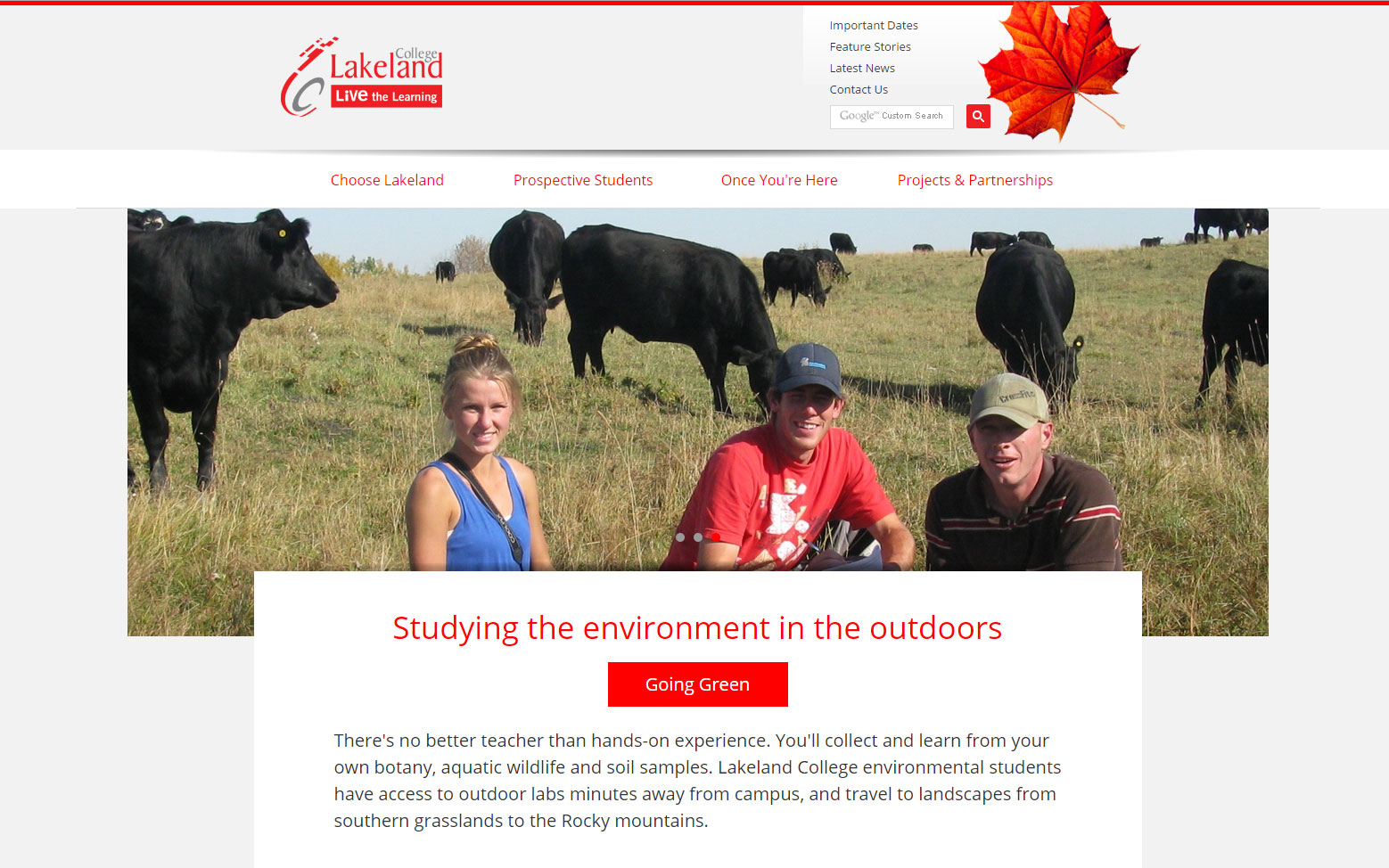 Screenshot of Lakeland International website