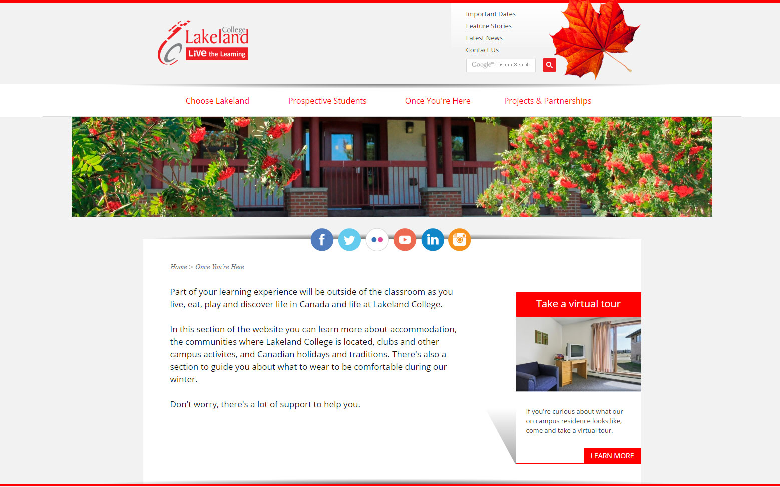 Screenshot of Lakeland International website