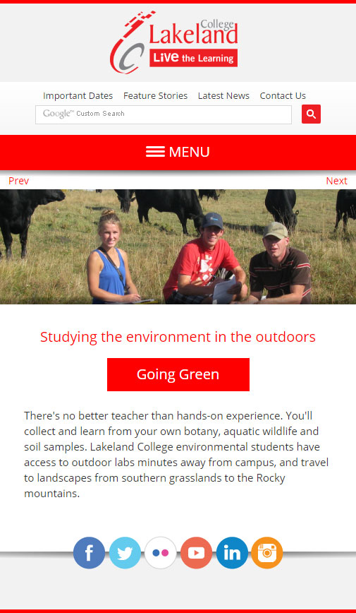 Screenshot of Lakeland International website