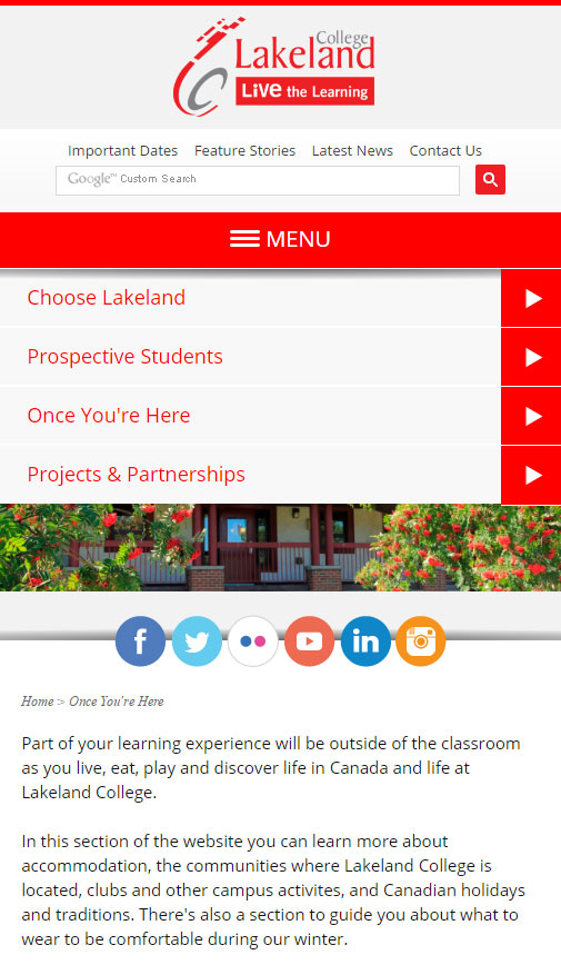 Screenshot of Lakeland International website