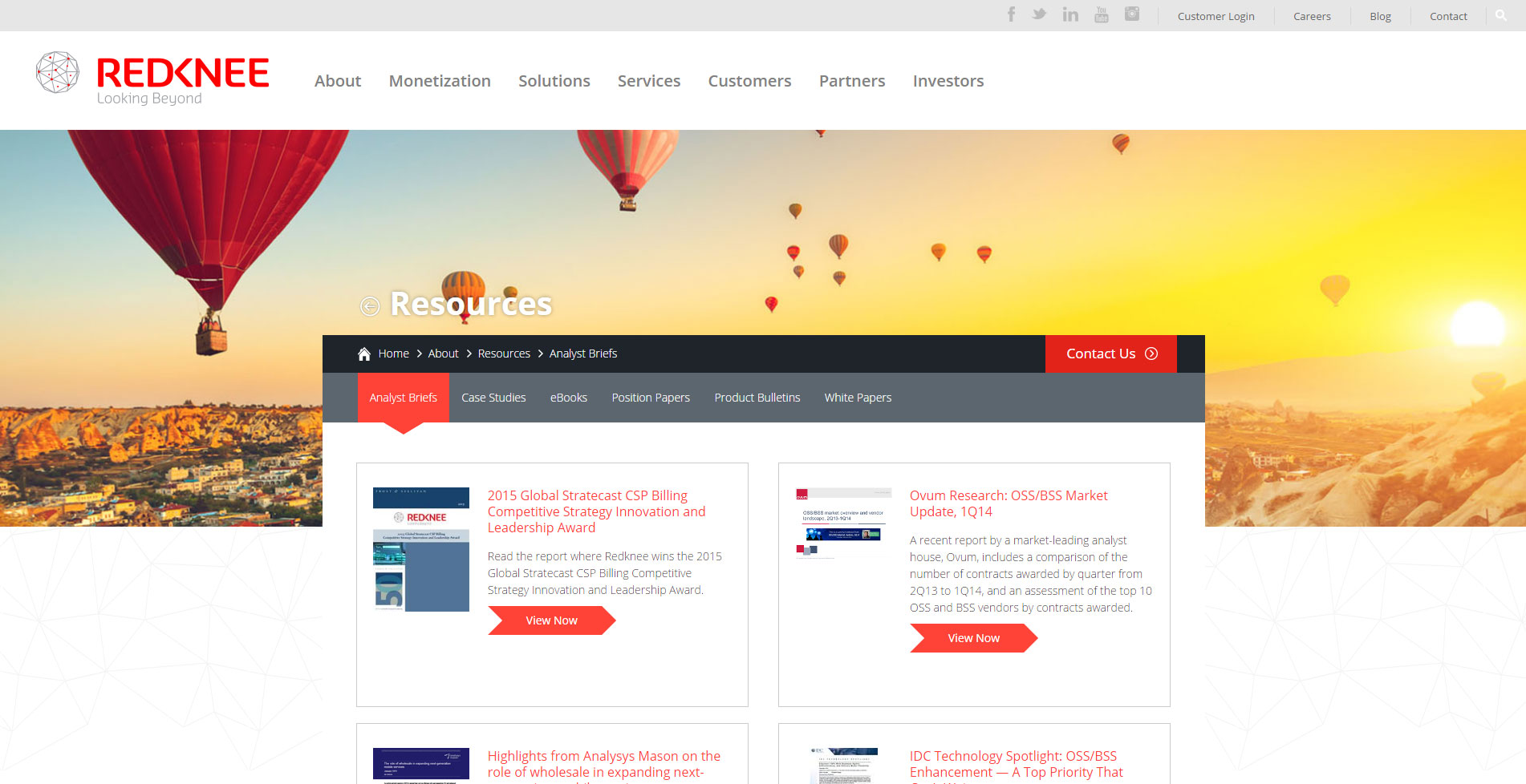 Screenshot of Redknee Website