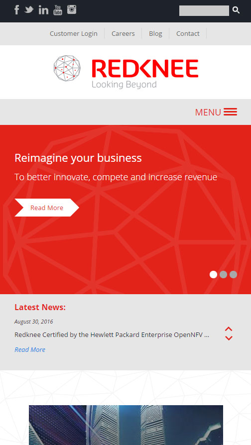 Screenshot of Redknee Website