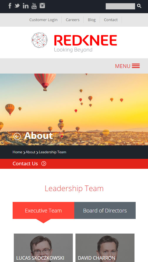 Screenshot of Redknee Website